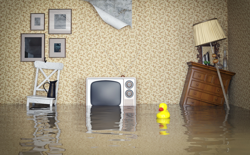 homeowners insurance mistake flooded living room furniture