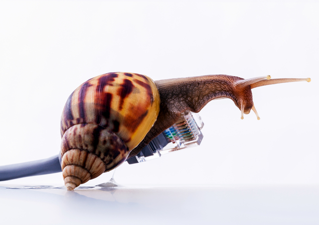 slow internet connection slash your monthly bills
