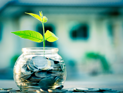 sprouted-savings-accounts-money-plant