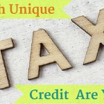 which-unique-tax-credit-are-you-quiz